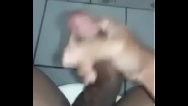 neg&atilde;o da zl sp 