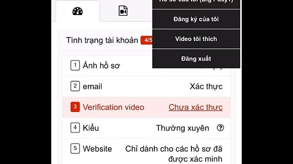 Verification video