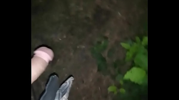 Walkin the_public park