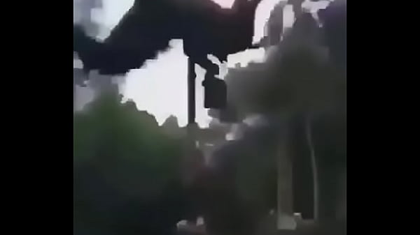 V&iacute_deo de verificaci&oacute_n