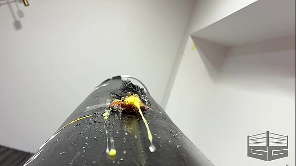 Ballbusting mood chicken nightmare