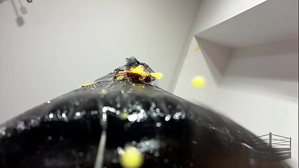 Ballbusting mood chicken nightmare 