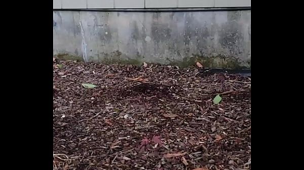 Nonton Fmeanal420 - Update #2 - 20240604 205116 - Jun 22, 2024 thumbnail