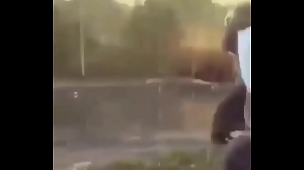 Not Monke Is What This Video Is Called Because It Really Embraces The Themes And Sotory Arcs Found Within The Video thumbnail