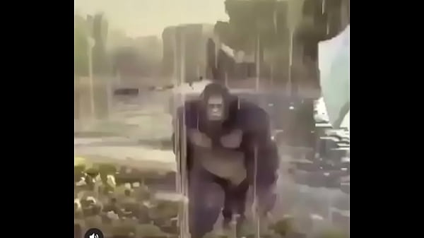 Nonton Not Monke Is What This Video Is Called Because It Really Embraces The Themes And Sotory Arcs Found Within The Video thumbnail