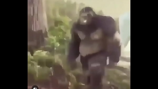 Not monke is what this video is called because it really embraces the themes and sotory arcs found within the video 