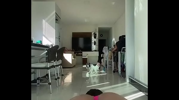 V&iacute_deo de verifica&ccedil_&atilde_o
