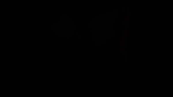 Fitness instructor makes me cum twice with her tight pussy 