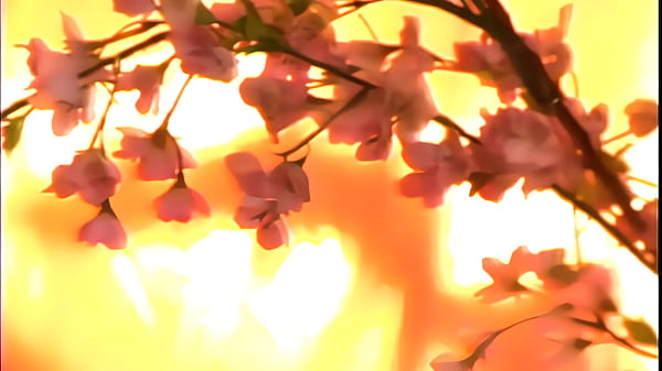 Nonton And Spewing Your Goo Between Those Mounds Is The Best Way To Make This Top Heavy Honey Happy! thumbnail