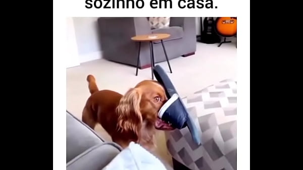 Rede  Prev1...2930313233343536373839404142434445...112Next SEXBOKEP adalah Website Bokep Indonesia Terbaru dan Terlengkap Gratis dimana Anda dapat menonton streaming video bokep dan download vidio bokep terbaru yang sedang viral dengan aplikasi bokep android, Aplikasi bokep free download simontok app terbaru 2026 for PC Mobile Online dan HP     Contact Us   DMCA   Disclamer   Privacy and Policy   Conditions of Use  &copy; 2026 SEXBOKEP All rights reserved