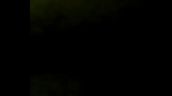 WP 20170205 23 47 08 Pro