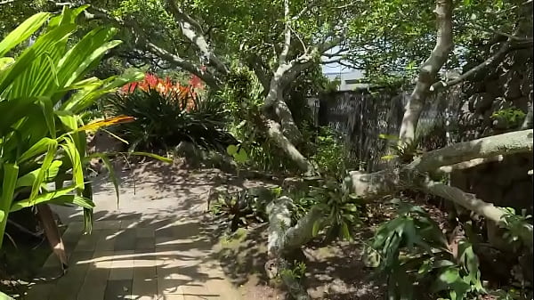 We did some filming at foster gardens this afternoon