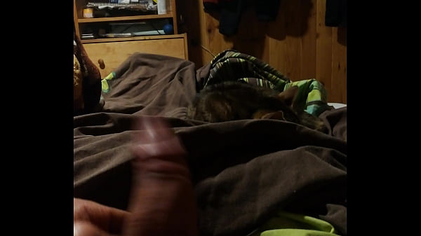 Nonton Pajilla thumbnail