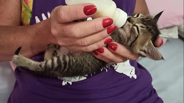 Gata Mamando Vontade thumbnail