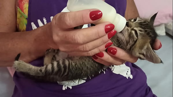 Nonton Gata Mamando Vontade thumbnail