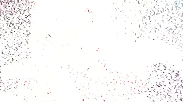 Play MP4 - Shimmy Cash presents&colon; Pornstar Bloopers & Fuck Ups &num;5 - Best Funny Interracial Scene Out Takes