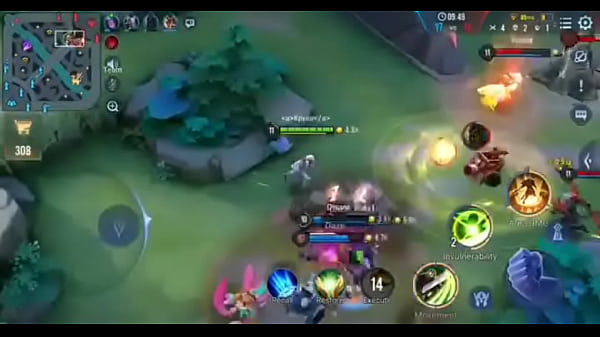 Aov veteran pro player