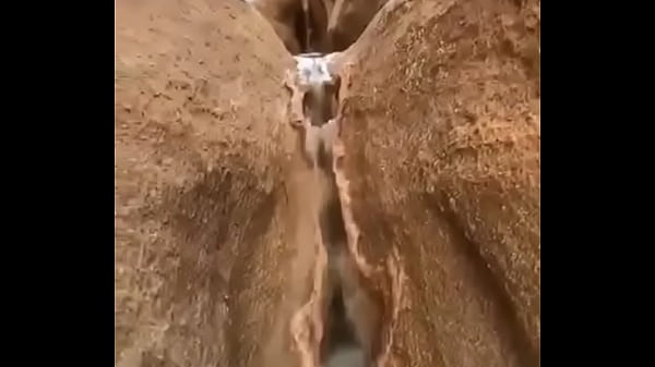 A natureza &eacute_ linda