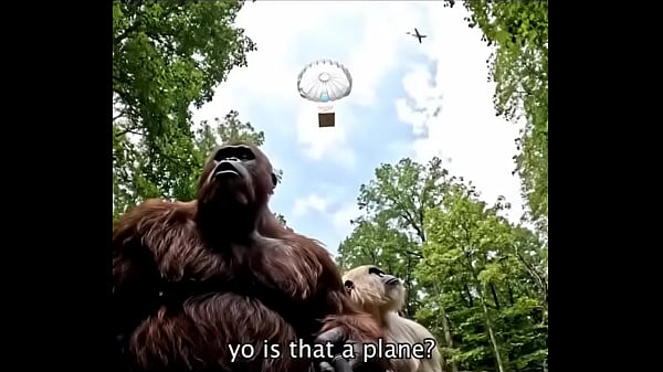 Nonton Steroids thumbnail