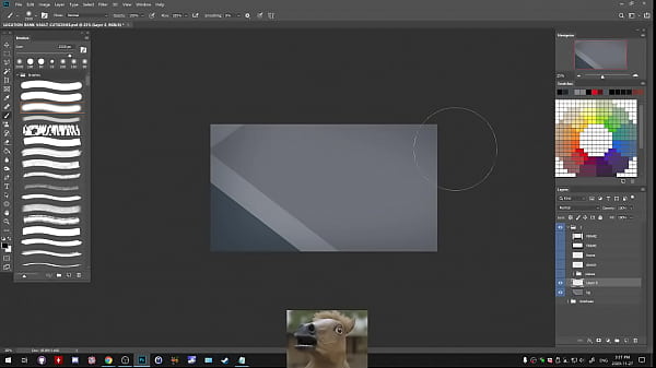 Sts broadcast by dc on picarto from november twenty seventh 2020