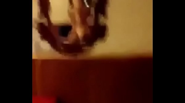 Play MP4 - Lo que encontr&eacute; mi t&iacute;o y mi amigo