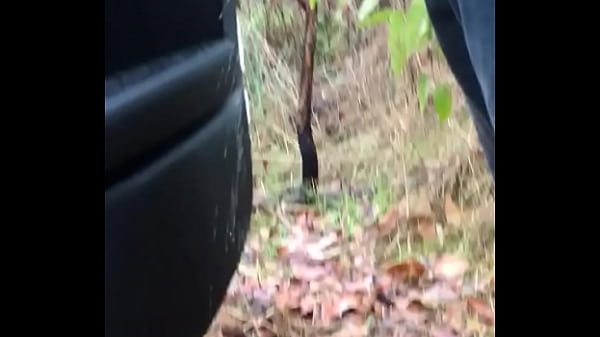 Play MP4 - trim&period;8919159B-0469-4E6F-B4B0-3F7A1B079072&period;MOV