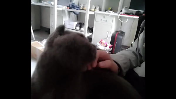 验证视频 thumbnail