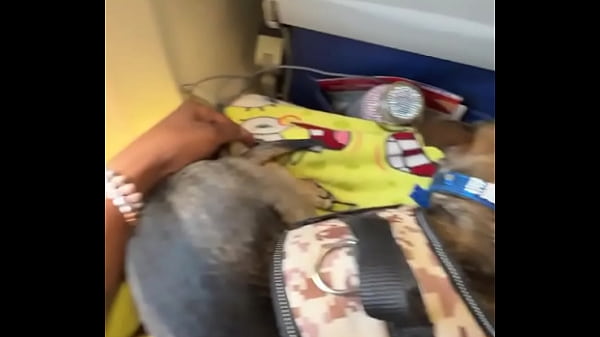 Miami lavegas phoenixjacksonville fl up next ️ 