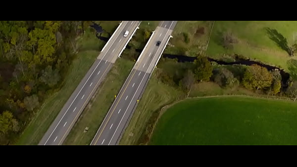 Na Mira do Perigo Filme Completo Dublado