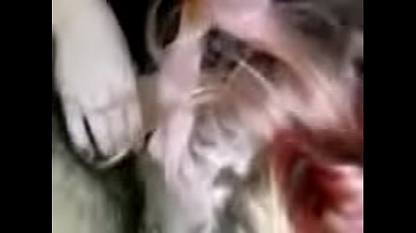 Nonton Received 1560130904029890 0021 thumbnail