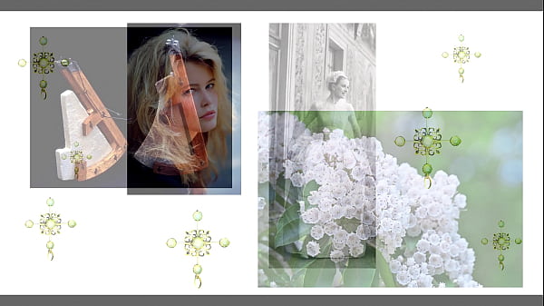 Tolley frau claudia schiffer is classical pianist & european union opera star jonathan vitale is love poet und fine art historian for the new york times wall street journal dow jones incorporate 