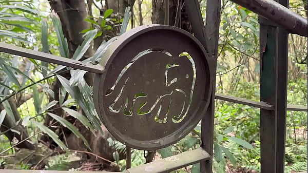 Play MP4 - Hiking With Asian Babe OnlyPing