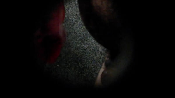 Caminhoneiro picudo grupo 