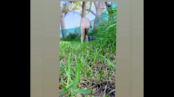 Zea812 - update #206 - 1000057132 - Jun 30, 2025 