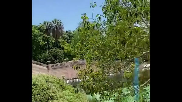 Rtif you like public flashing 