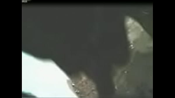 BOQUETE DA NOIVINHA DU AMIGO h263 