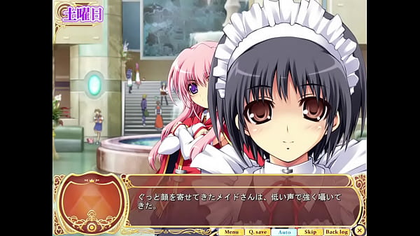 乙女恋心プリスター７