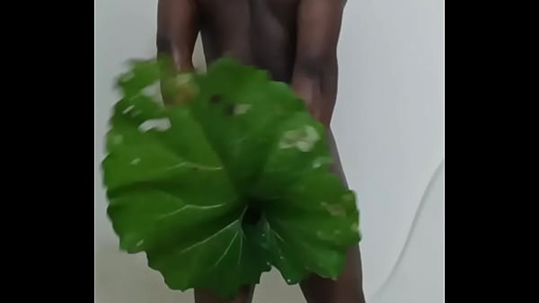 Similar to the human flower arse vase the human green leaf arse vase 2 