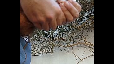 Public Jerking