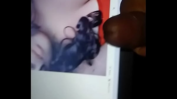 Tributo a la novia de el Sat&aacute_nico