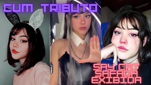 V&iacute_deo de verifica&ccedil_&atilde_o