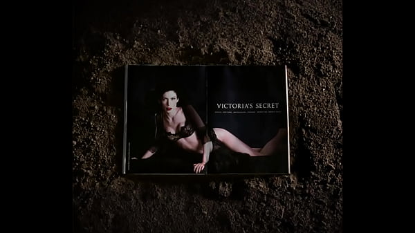 Compara&ccedil;&atilde;o de modelo de revista com modelo plus size