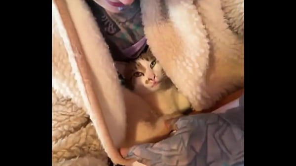 My world isn't just wild; it's also filled with computer work writing with you managing all my social m