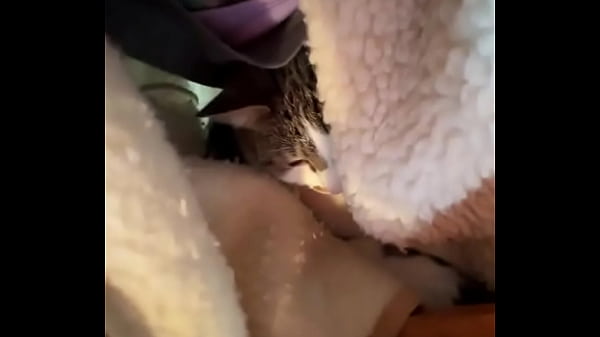 My world isn't just wild; it's also filled with computer work writing with you managing all my social m