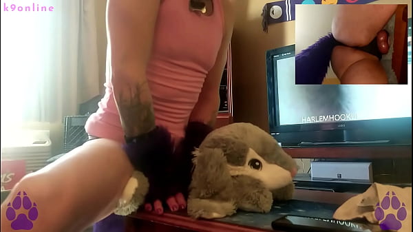 Play MP4 - Horny Puppy Fucks his Bunny Plushie