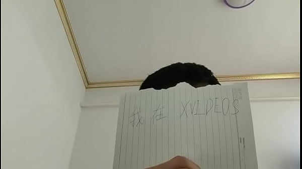 验证视频