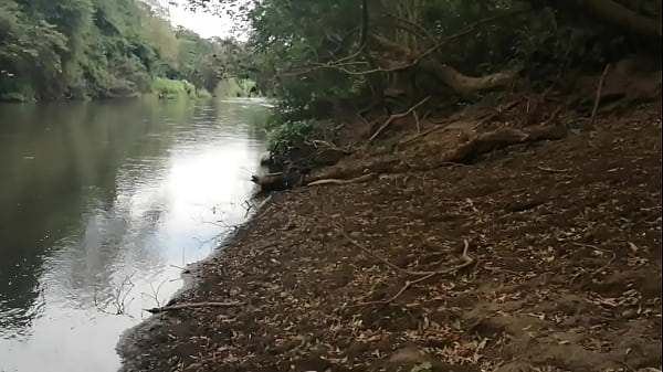 P&eacute;rdidos en la vejaci&oacute;n 