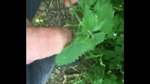 Play MP4 - Excitation aux hortis