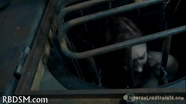 Collars sadomasochism 