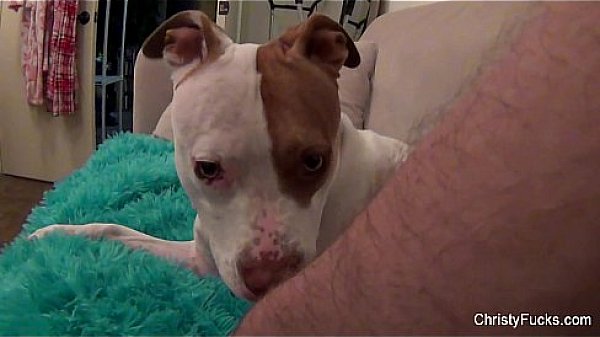 Lingerie lesbians fuck at home 